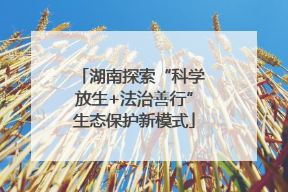 湖南探索“科学放生+法治善行”生态保护新模式