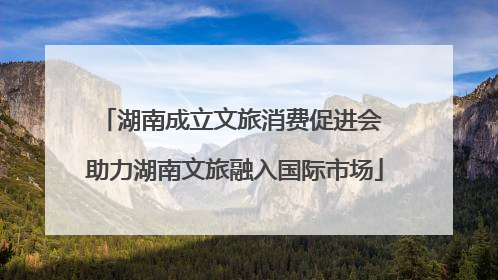 湖南成立文旅消费促进会 助力湖南文旅融入国际市场