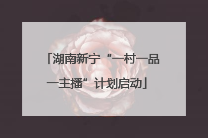 湖南新宁“一村一品一主播”计划启动