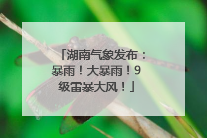 湖南气象发布：暴雨！大暴雨！9级雷暴大风！