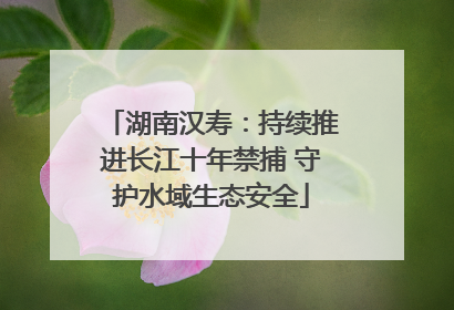 湖南汉寿：持续推进长江十年禁捕 守护水域生态安全