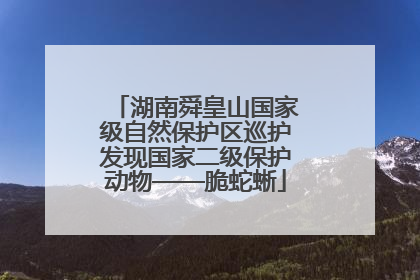 湖南舜皇山国家级自然保护区巡护发现国家二级保护动物——脆蛇蜥