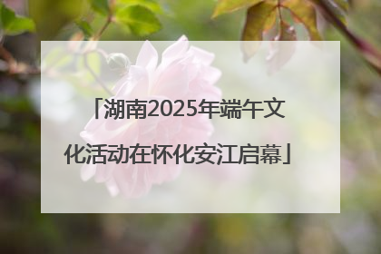 湖南2025年端午文化活动在怀化安江启幕