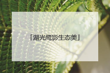 湖光鹭影生态美