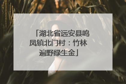 湖北省远安县鸣凤镇北门村：竹林遍野绿生金