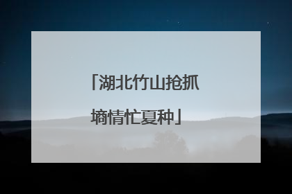 湖北竹山抢抓墒情忙夏种