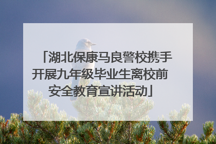 湖北保康马良警校携手开展九年级毕业生离校前安全教育宣讲活动