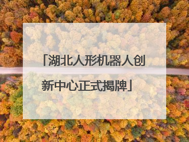 湖北人形机器人创新中心正式揭牌