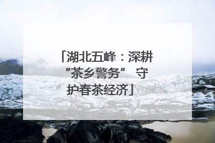 湖北五峰：深耕“茶乡警务” 守护春茶经济