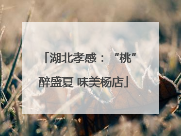 湖北孝感：“桃”醉盛夏 味美杨店