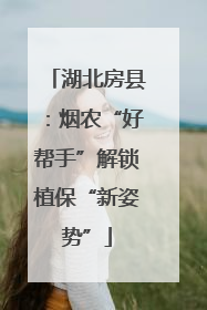 湖北房县：烟农“好帮手”解锁植保“新姿势”