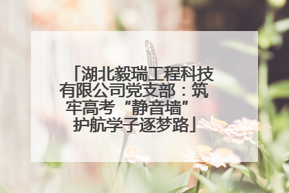 湖北毅瑞工程科技有限公司党支部：筑牢高考“静音墙” 护航学子逐梦路