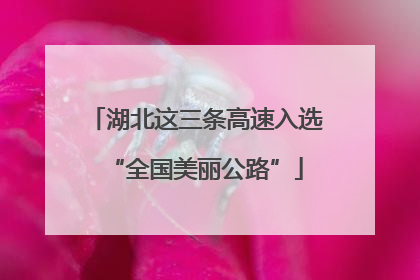 湖北这三条高速入选“全国美丽公路”