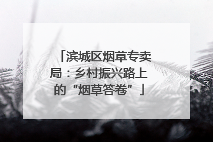 滨城区烟草专卖局：乡村振兴路上的“烟草答卷”