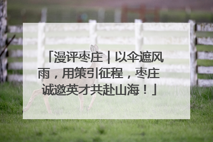 漫评枣庄｜以伞遮风雨，用策引征程，枣庄诚邀英才共赴山海！
