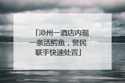 漳州一酒店内现一条活鳄鱼，警民联手快速处置