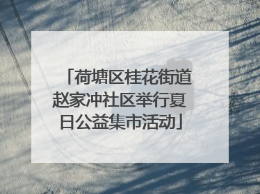 荷塘区桂花街道赵家冲社区举行夏日公益集市活动