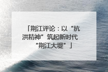 荆江评论：以“抗洪精神”筑起新时代“荆江大堤”