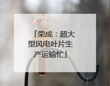 荣成：超大型风电叶片生产运输忙