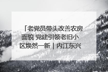 老党员带头改善农房面貌 党建引领老旧小区焕然一新｜内江东兴“红”在哪？④