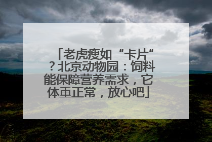 老虎瘦如“卡片”？北京动物园：饲料能保障营养需求，它体重正常，放心吧