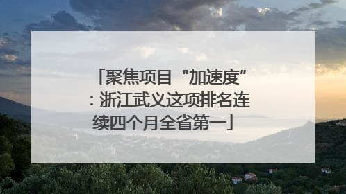 聚焦项目“加速度”：浙江武义这项排名连续四个月全省第一