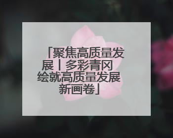 聚焦高质量发展丨多彩青冈 绘就高质量发展新画卷