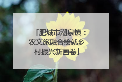 肥城市潮泉镇：农文旅融合绘就乡村振兴新画卷