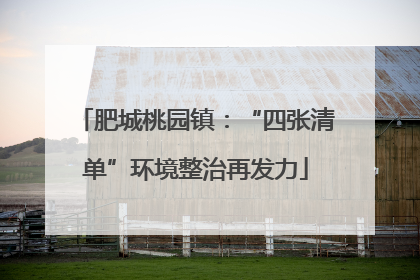 肥城桃园镇：“四张清单”环境整治再发力