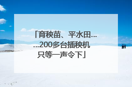 育秧苗、平水田……200多台插秧机只等一声令下