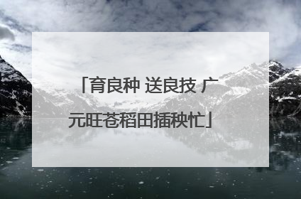 育良种 送良技 广元旺苍稻田插秧忙