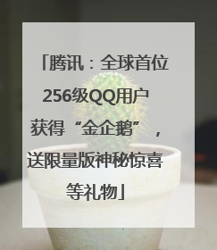 腾讯：全球首位256级QQ用户获得“金企鹅”，送限量版神秘惊喜等礼物