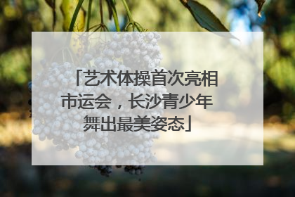 艺术体操首次亮相市运会，长沙青少年舞出最美姿态