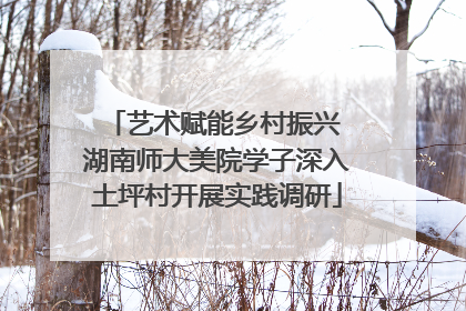艺术赋能乡村振兴 湖南师大美院学子深入土坪村开展实践调研