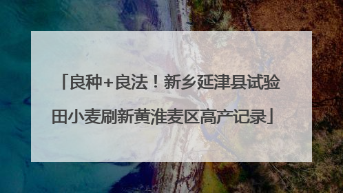 良种+良法！新乡延津县试验田小麦刷新黄淮麦区高产记录