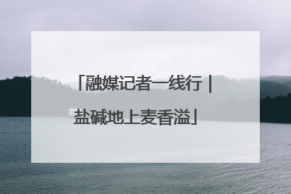融媒记者一线行｜盐碱地上麦香溢