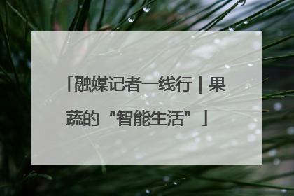 融媒记者一线行｜果蔬的“智能生活”