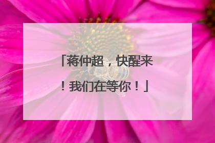 蒋仲超，快醒来！我们在等你！