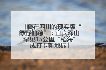 藏在四川的现实版“绿野仙踪”：宜宾深山罕见15公里“稻海”成打卡新地标