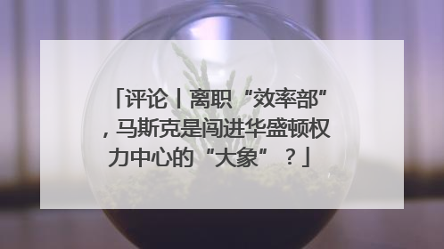 评论丨离职“效率部”，马斯克是闯进华盛顿权力中心的“大象”？