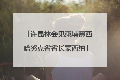 许昆林会见柬埔寨西哈努克省省长蒙西纳