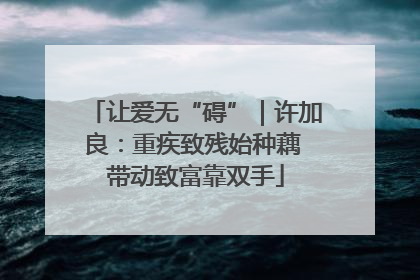 让爱无“碍”｜许加良：重疾致残始种藕 带动致富靠双手