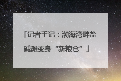 记者手记：渤海湾畔盐碱滩变身“新粮仓”
