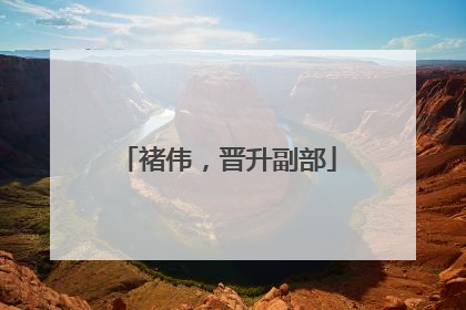 褚伟，晋升副部