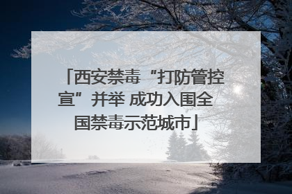 西安禁毒“打防管控宣”并举 成功入围全国禁毒示范城市