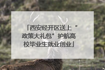 西安经开区送上“政策大礼包”护航高校毕业生就业创业