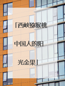 西峡猕猴桃 中国人的阳光金果