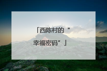 西陈村的“幸福密码”