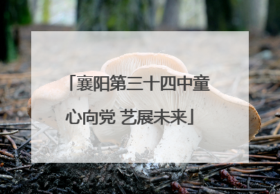 襄阳第三十四中童心向党 艺展未来