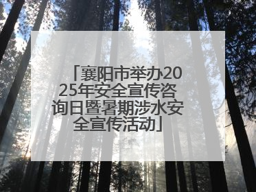 襄阳市举办2025年安全宣传咨询日暨暑期涉水安全宣传活动